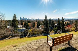 Photo 47: 199 Cardiff Drive NW in Calgary: Cambrian Heights Detached for sale : MLS®# A1170992