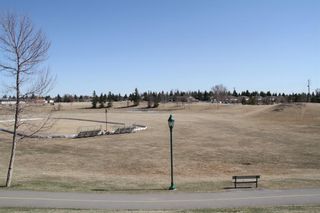 Photo 40: 740 Madeira Drive NE in Calgary: Marlborough Park Detached for sale : MLS®# A1095127