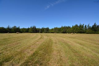 Photo 11: 6287 Highway 101 in Ashmore: Digby County Residential for sale (Annapolis Valley)  : MLS®# 202220080
