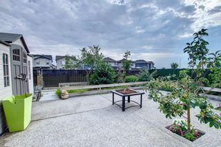 Photo 47: 48 Skyview Springs Crescent NE in Calgary: Skyview Ranch Detached for sale : MLS®# A1253952