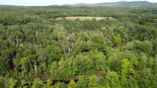 Photo 5: PARCEL A Barneys River Road in Avondale: 108-Rural Pictou County Vacant Land for sale (Northern Region)  : MLS®# 202016062