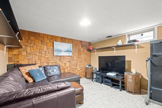 Photo 17: 218 Darwin Street in Winnipeg: Residential for sale (2C)  : MLS®# 202317711