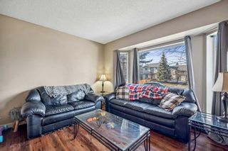 Photo 3: 61 Martindale Boulevard NE in Calgary: Martindale Detached for sale : MLS®# A2120961
