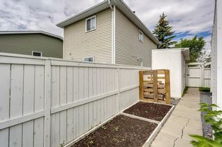 Photo 34: 95 Taradale Drive NE in Calgary: Taradale Detached for sale : MLS®# A2124103