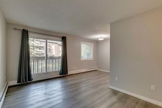 Photo 10: 914 11620 Elbow Drive SW in Calgary: Canyon Meadows Apartment for sale : MLS®# A2003502
