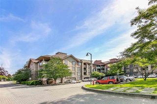 Photo 17: 3311 240 SHERBROOKE Street in New Westminster: Sapperton Condo for sale in "Copperstone" : MLS®# R2381606