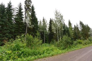 Photo 3: LOT 9 GRANTHAM Road in Smithers: Smithers - Rural Land for sale in "Grantham" (Smithers And Area (Zone 54))  : MLS®# R2604033