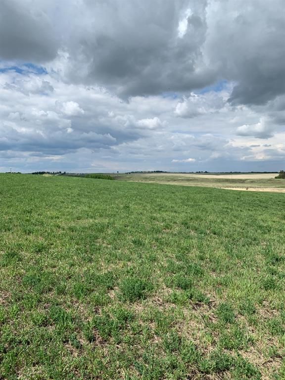 Photo 20: Photos: 62 ac Corner of Hwy 552 306 Ave West (Strathcona  School/Polo Club): Rural Foothills County Residential Land for sale : MLS®# A1227910