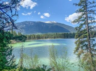Photo 15: 3680 RAD ROAD in Invermere: House for sale : MLS®# 2474494