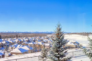 Photo 43: 82 Discovery Ridge Heights SW in Calgary: Discovery Ridge Detached for sale : MLS®# A1258640