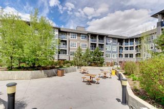 Photo 1: 125 25 Auburn Meadows Avenue SE in Calgary: Auburn Bay Apartment for sale : MLS®# A1218970