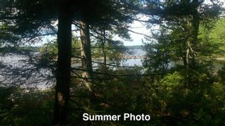 Photo 18: Lot 38 Sand Cove Road in Westfield: 406-Queens County Vacant Land for sale (South Shore)  : MLS®# 202404708