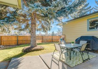 Photo 26: 52 Sunmount Crescent SE in Calgary: Sundance Detached for sale : MLS®# A1157588