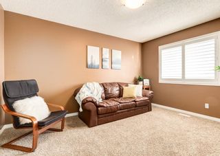 Photo 30: 14 Evansbrooke Place NW in Calgary: Evanston Detached for sale : MLS®# A1186837