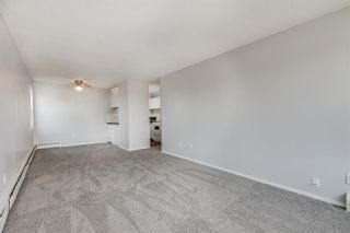 Photo 5: 211 101 Big Hill Way SE: Airdrie Apartment for sale : MLS®# A2062152