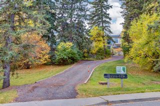Photo 45: 1221 17A Street NW in Calgary: Hounsfield Heights/Briar Hill Detached for sale : MLS®# A2090503