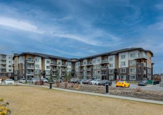 Photo 1: 2417 240 Skyview Ranch Road NE in Calgary: Skyview Ranch Apartment for sale : MLS®# A2004849