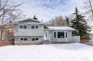 Photo 1: 3903 62 Street in Edmonton: Zone 29 House for sale : MLS®# E4331455