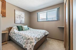 Photo 23: 101 Welch Place: Okotoks Detached for sale : MLS®# A2034316