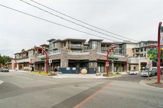 Photo 3: 205 3230 CONNAUGHT Crescent in North Vancouver: Edgemont Condo for sale : MLS®# R2401757