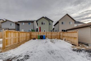 Photo 5: 28 Copperpond Avenue SE in Calgary: Copperfield Detached for sale : MLS®# A1176309
