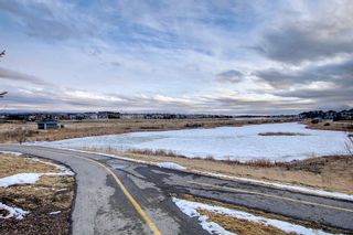 Photo 46: 219 LAKEPOINTE Drive: Chestermere Detached for sale : MLS®# A1183995