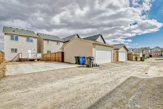 Photo 50: 80 Skyview Point Crescent NE in Calgary: Skyview Ranch Detached for sale : MLS®# A2041402