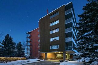 Photo 28: 603/604 3204 Rideau Place SW in Calgary: Rideau Park Apartment for sale : MLS®# A2136104