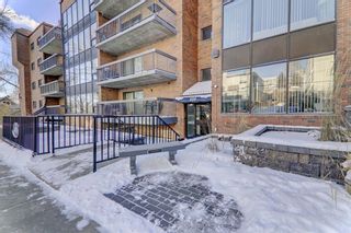 Photo 22: 401 659 4 Avenue NE in Calgary: Bridgeland/Riverside Apartment for sale : MLS®# A2015908