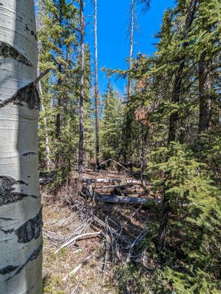 Photo 6: Lot C INMAN Road: Lone Butte Land for sale (100 Mile House)  : MLS®# R2881679
