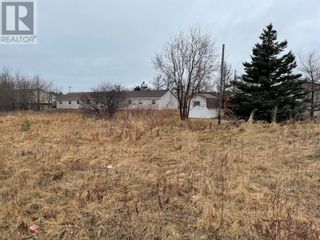 Photo 2: 93 West Street AND 17 Boland Drive in Stephenville: Vacant Land for sale : MLS®# 1261092