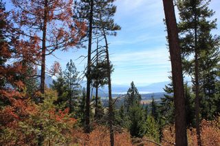 Photo 14: Lot 12 Recline Ridge Road in Tappen: Land Only for sale : MLS®# 10142805