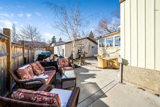 Photo 21: 143 Pinemill Way NE in Calgary: Pineridge Detached for sale : MLS®# A2118467