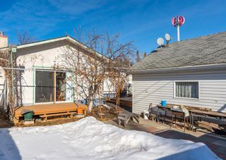 Photo 22: 351 94 Avenue SE in Calgary: Acadia Detached for sale : MLS®# A2026418
