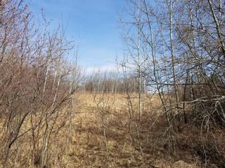 Photo 9: Lakeview Drive: Rural Camrose County Residential Land for sale : MLS®# A2129369