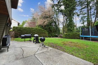Photo 33: 20863 47 Avenue in Langley: Langley City House for sale : MLS®# R2736289