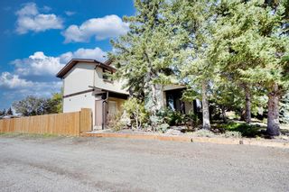 Photo 35: 366 Abergale Drive NE in Calgary: Abbeydale Semi Detached for sale : MLS®# A1258605