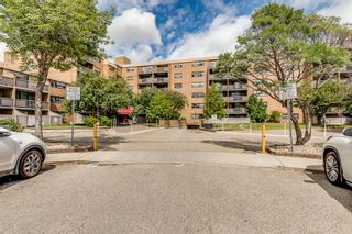 Main Photo: 629 30 McHugh Court NE in Calgary: Mayland Heights Apartment for sale : MLS®# A2000044