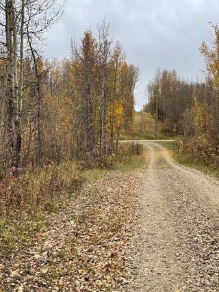 Photo 10: : Rural Ponoka County Residential Land for sale : MLS®# A2102821