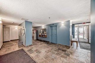 Photo 27: 233 910 Centre Avenue in Calgary: Bridgeland/Riverside Apartment for sale : MLS®# A2127142