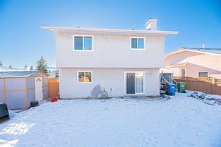 Photo 49: 76 Applewood Way SE in Calgary: Applewood Park Detached for sale : MLS®# A2019732