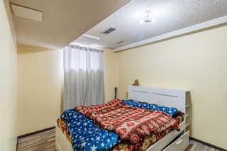 Photo 29: 55 TEMPLEVALE Way NE in Calgary: Temple Detached for sale : MLS®# A2103805