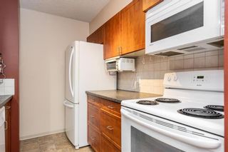 Photo 8: Downtown in Winnipeg: Downtown Condominium for sale (9A)  : MLS®# 202025405