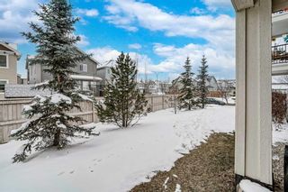 Photo 11: 1102 755 Copperpond Boulevard SE in Calgary: Copperfield Apartment for sale : MLS®# A2116861