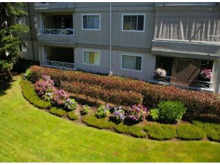 Photo 6: 208 20125 55A Avenue in Langley: Langley City Condo for sale : MLS®# F1314922