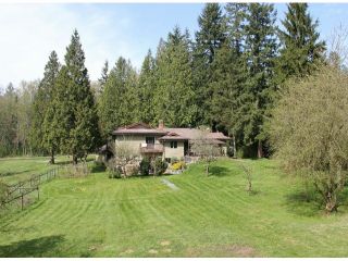 Photo 4: 21144 20 Avenue in Langley: Campbell Valley House for sale in "South Langley/Campbell Valley" : MLS®# F1409207