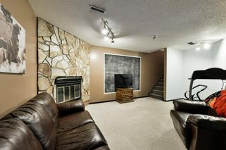 Photo 19: 264 Beddington Circle NE in Calgary: Beddington Heights Detached for sale : MLS®# A1226783