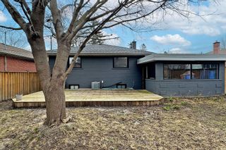 Photo 31: 28 Nuffield Drive in Toronto: Guildwood House (Bungalow) for sale (Toronto E08)  : MLS®# E8238340