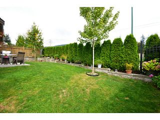 Photo 20: 1459 NANTON Street in Coquitlam: Burke Mountain House for sale in "FOOTHILLS" : MLS®# V1024544