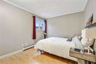 Photo 13: 301 1721 13 Street SW in Calgary: Lower Mount Royal Apartment for sale : MLS®# A1137604